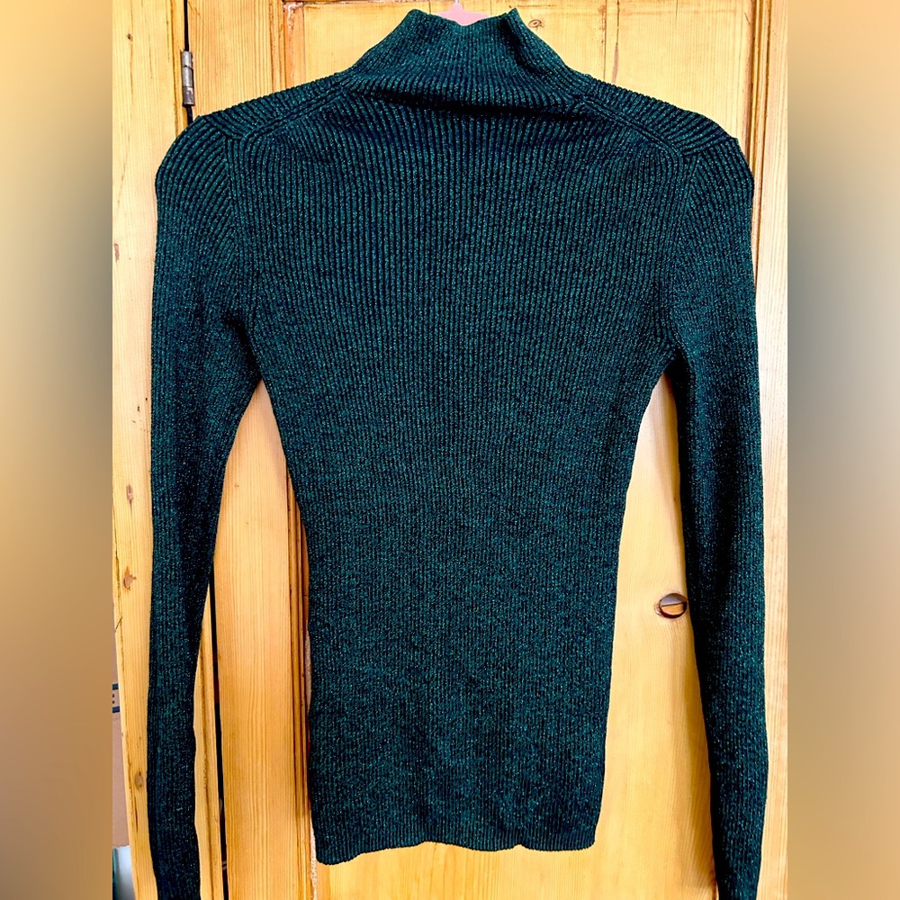 Sparkly green Diane von furstenberg (DVF) turtleneck